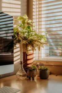 Tips for Creating a Productive Home Office Environment